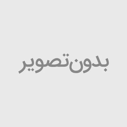 برد اصلی کیف پول لجر نانو اس