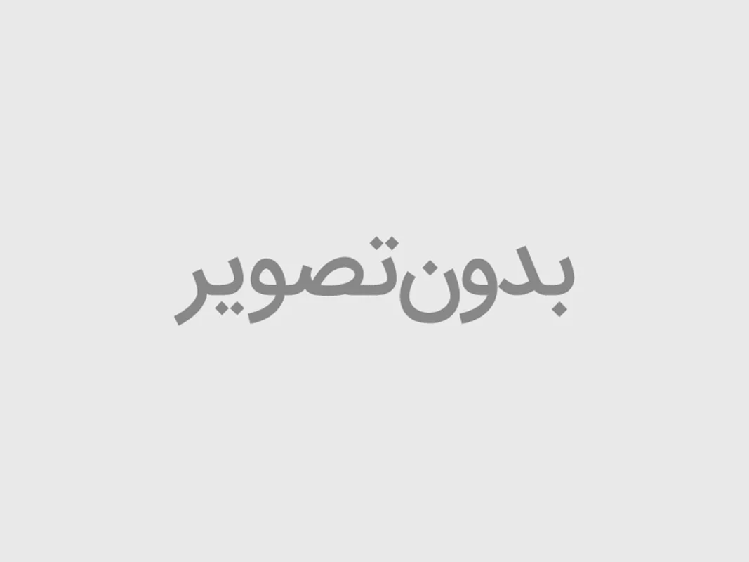 برد اصلی کیف پول لجر نانو اس